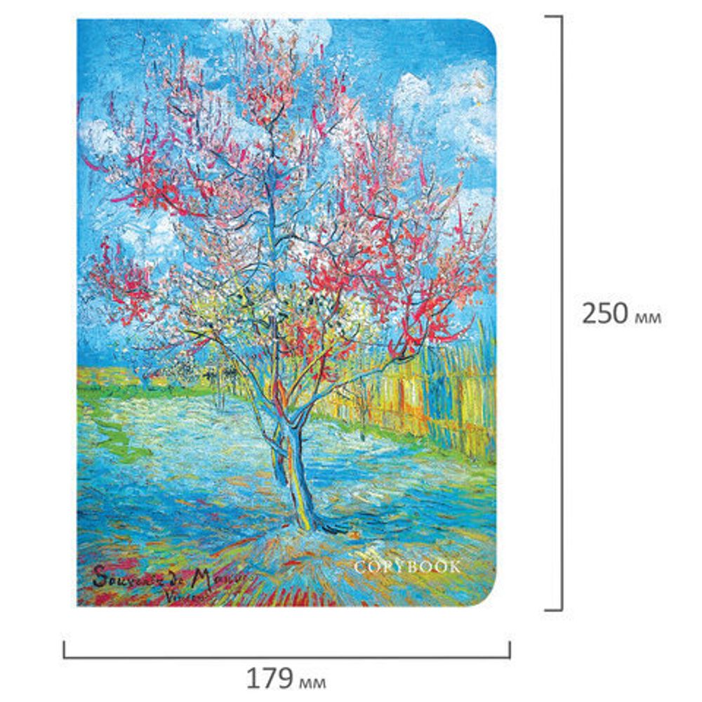 Тетрадь 60 л. в клетку обложка SoftTouch, бежевая бумага 70 г/м2, сшивка, В5 (179х250 мм), INSIGHT, BRAUBERG, 403814