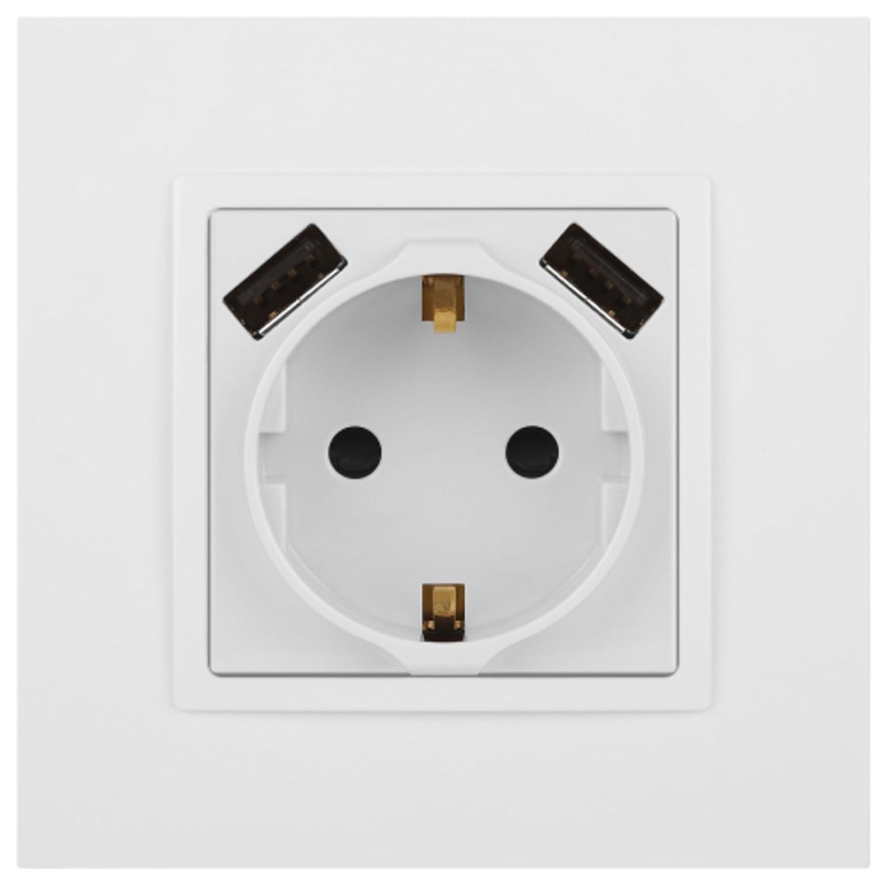 Розетка ЭРА Elegance 14-4109-01М 2P+E 16A-250В штор. с 2xUSB 5В-3А белый матовый | Эра Elegance