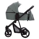 Детская коляска Bebetto Flavio Pro 2 в 1 09 шалфей кожа