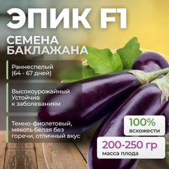 ЭПИК F1 семена баклажана (Seminis | Alexagro)