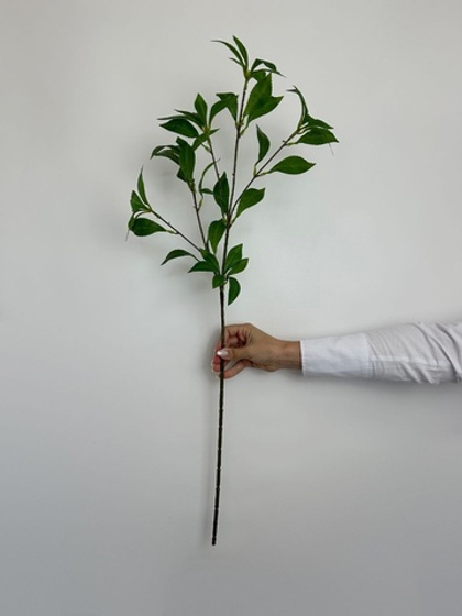 Ветка чая / Арт 3030