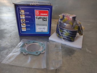 поршневая (цпг) Стелс тактик 1e40qmb на 65сс (D44мм,p12) SEE Тайвань