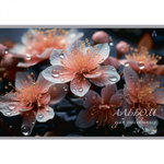 Альбом для рисования А4 24л., Alingar, на скрепке, мелованный картон (стандарт) 210 г/м2, офсет 100 г/м2, "Цветы", 4 дизайна в пленке т/у