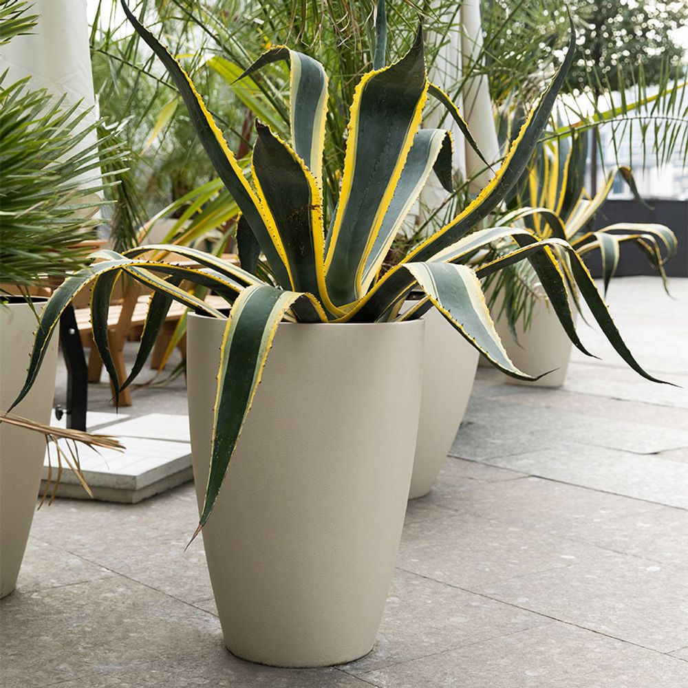 Кашпо CONUS SAHARA D41 H57