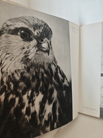 Фото-приключения