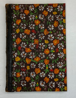 Дюфур П. История проституции романских, германских и славянских народов. СПб., Тип. М. Я. Ми 1907 г.