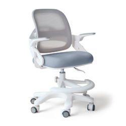 Стул для школьника Ergokids Y-308