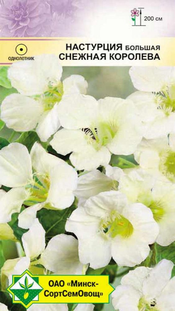 Настурция большая "Снежная королева" 1,5г., Германия. Настурция большая "Снежная королева" 1,5г., Германия.