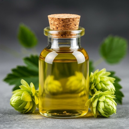 Хмель масляный экстракт