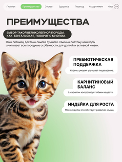 Корм сухой для котят породы Бенгальская, с ягненком, 400 гр, QUATTRO
