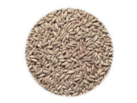 Солод Dingemans Rye MD (Рожь)