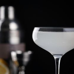 Рюмка коктейльная 200 мл "Bellini" d 8,1/9 см h15,5 см Cocktail Week P.L. [6]