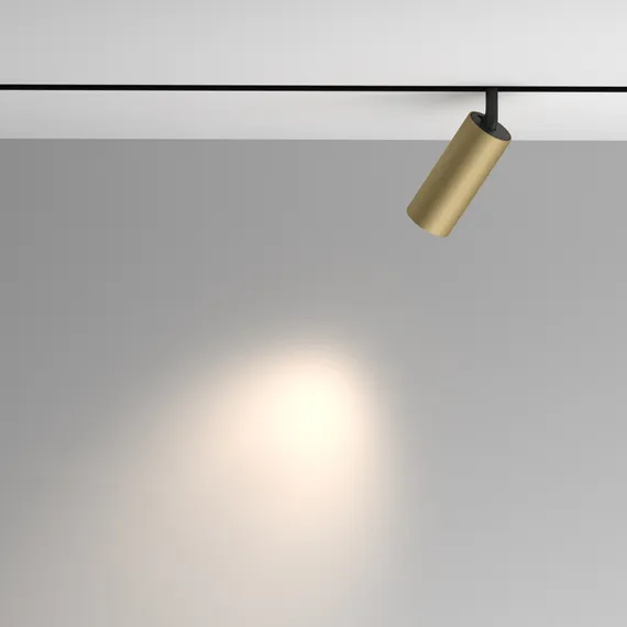 Трековый светильник Мастер / Artisan Exility 4000K 12Вт 36° Technical tr097-2-12w4k-m-bmg
