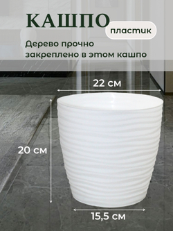 Искусственная Шеффлера 150см в кашпо