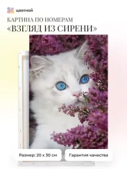 Nömrələr ilə rəngləmə \ Картина по номерам  Взгляд из сирени