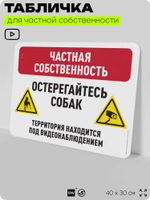 Табличка для частной территории "Частная собственность, остерегайтесь собак", на дом, для участка, организаций, предупреждающая, 40х30 см, Silver Plane x Айдентика Технолоджи