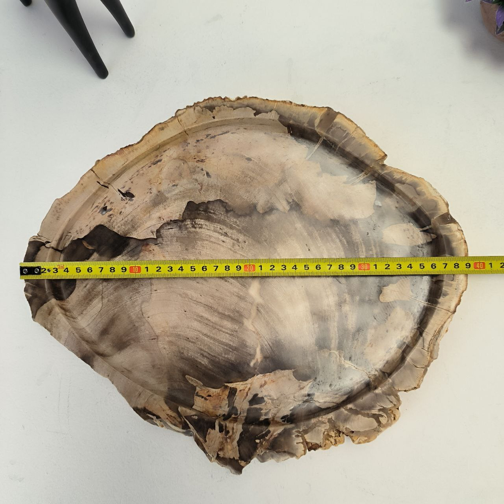 Набор из окаменелого дерева 4 предм Fossil Set NF-63071 поднос 33см*39см