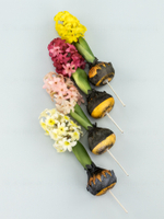 Гиацинт с луковицами