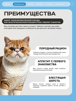 Корм сухой для взрослых кошек породы Экзотическая короткошерстная, с лососем, 400 гр, QUATTRO