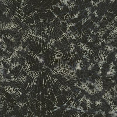 Halloween | Spider web | October 31st | Wrapping paper Print | Halloween Costume | Halloween party