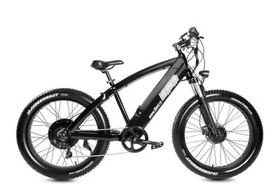 Электро-фэтбайк Медведь 2.0 1500x500