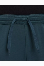 Штаны Nike Therma-FIT Academy Junior