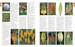 RHS A-Z Encyclopedia of Garden Plants 4th edition