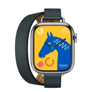 Apple Watch Hermès 41mm Silver Stainless Steel Case with Attelage Double Tour Vert Rousseau