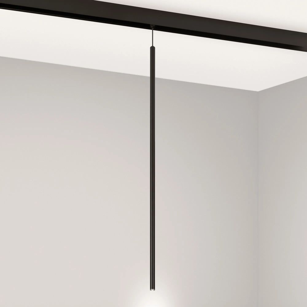 Светильник MAG-ORIENT-SPOT-HANG-L600-R12-2W Day4000 (BK, 20 deg, 48V) (Arlight, IP20 Металл, 5 лет) 044501