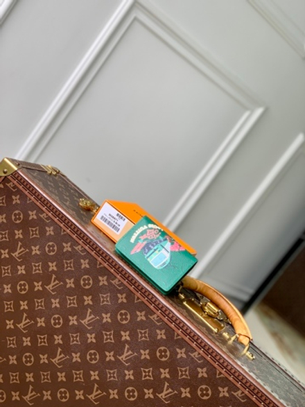 Louis Vuitton Pocket Organizer