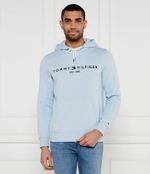 Худи Tommy Hilfiger - голубой(MW0MW11599)