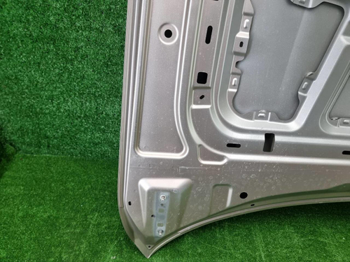 Капот Hongqi H9 (2020-н.в.)