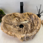Раковина из окаменелого дерева FossilBasin OD-62418 55*40*15