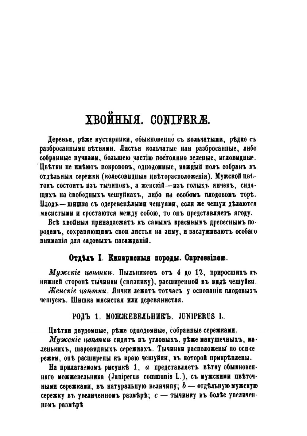 Русская дендрология или перечисление и описание древесных пород и многолетних вьющихся растений. Часть 1-5 | Эдуард Регель