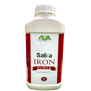 Salica iron power 5л раствор железа