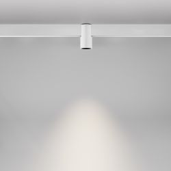Трековый магнитный светодиодный светильник Maytoni   TR122-2-7W4K-W