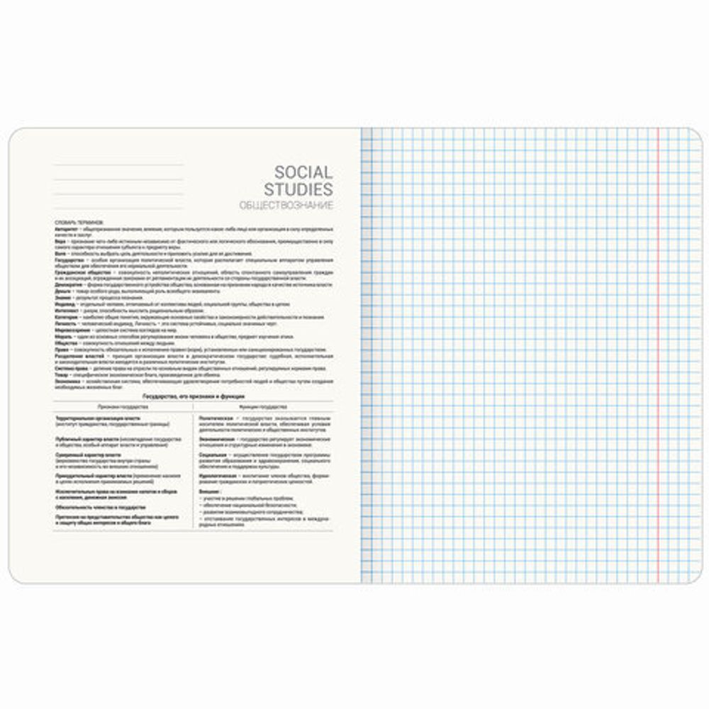 Тетрадь предметная МЕМЫ 48 л., TWIN-лак, ОБЩЕСТВОЗНАНИЕ, клетка, подсказ, BRAUBERG, 405097
