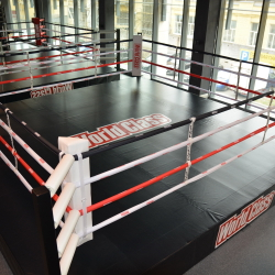 Боксерский ринг на помосте 0,35/0,5м