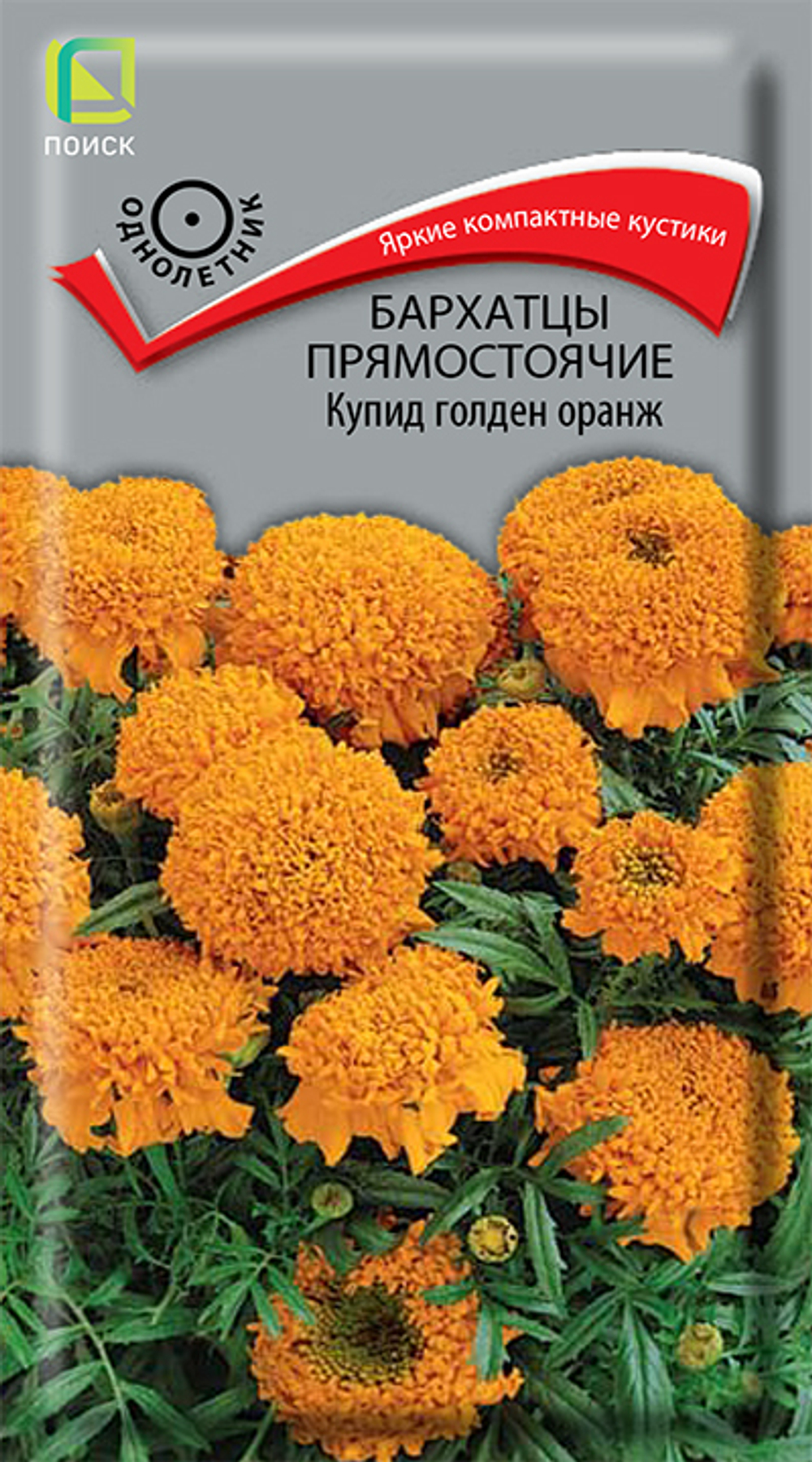 Бархатцы прямостоячие Купид Голден оранж