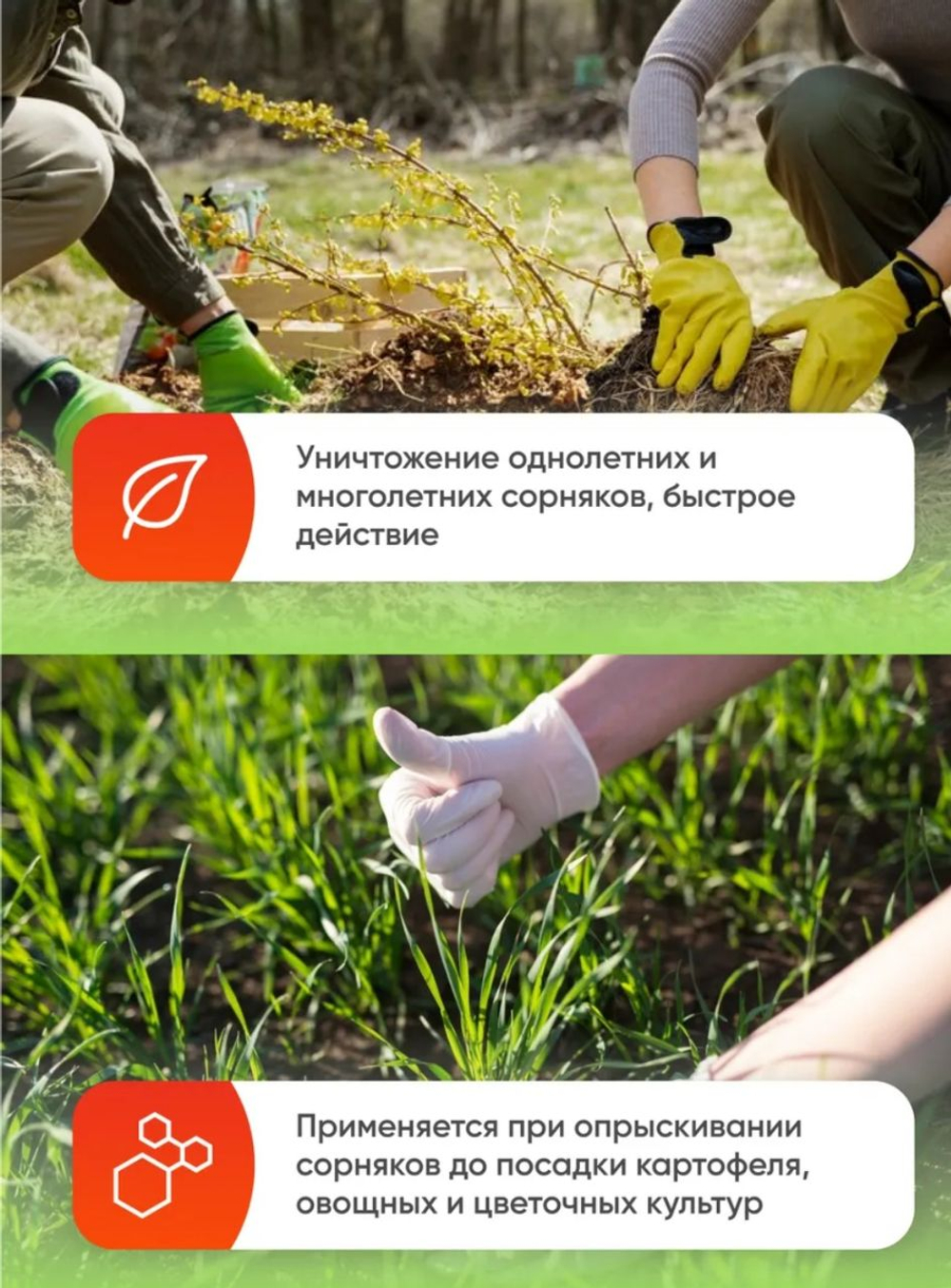 Средство от сорняков Чистогряд ,10мл