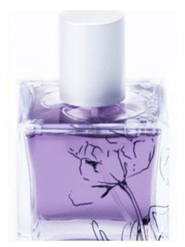 Infusion Organique Sands of Morocco