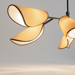 Подвесная люстра Maytoni Organic MOD225PL-06B