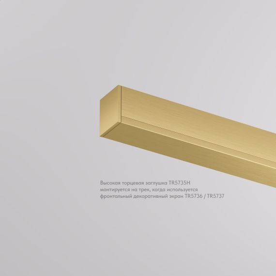 Заглушка Denkirs Shine Base TR5735H-SB