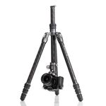 Штатив Benro FRHN24C+VX25 карбоновый с шаровой головкой