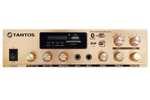 TSo-AA30M