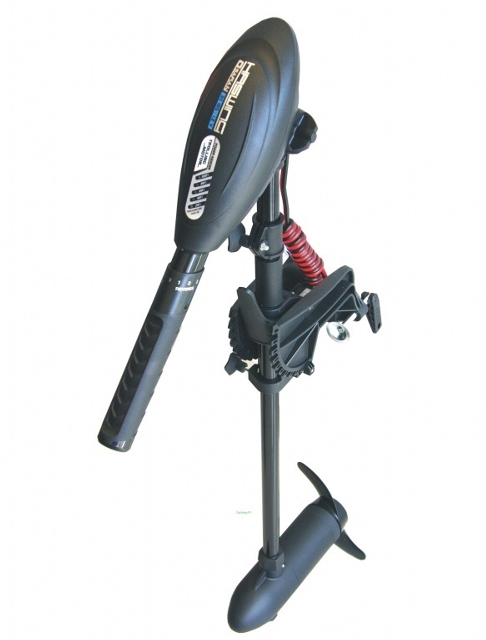 Электромотор Haswing Osapian 55