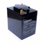 Тяговая аккумуляторная батарея EVEREST TNE 6-245