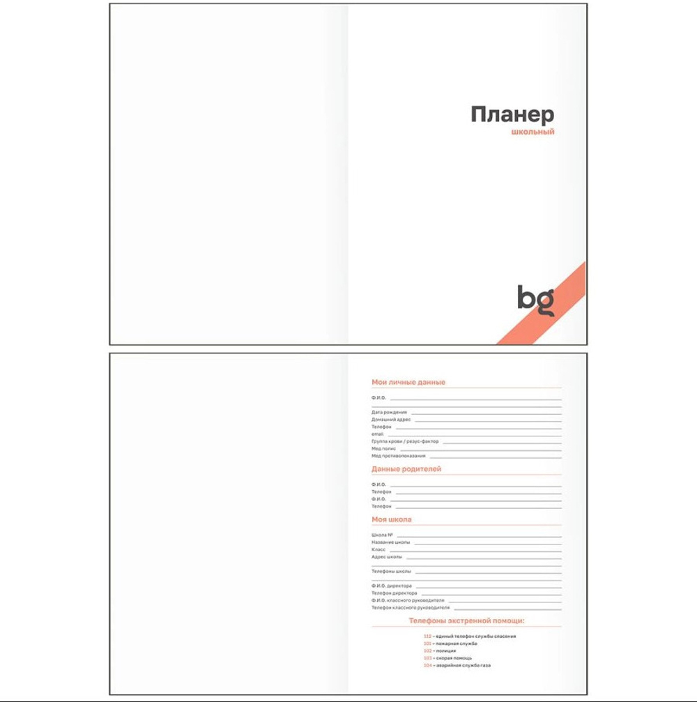 Планер школьный 1-11 кл. 64 л. БИДЖИ Мокко (Пш5т64_лм_тф 06327)