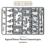 Roman Veterans
