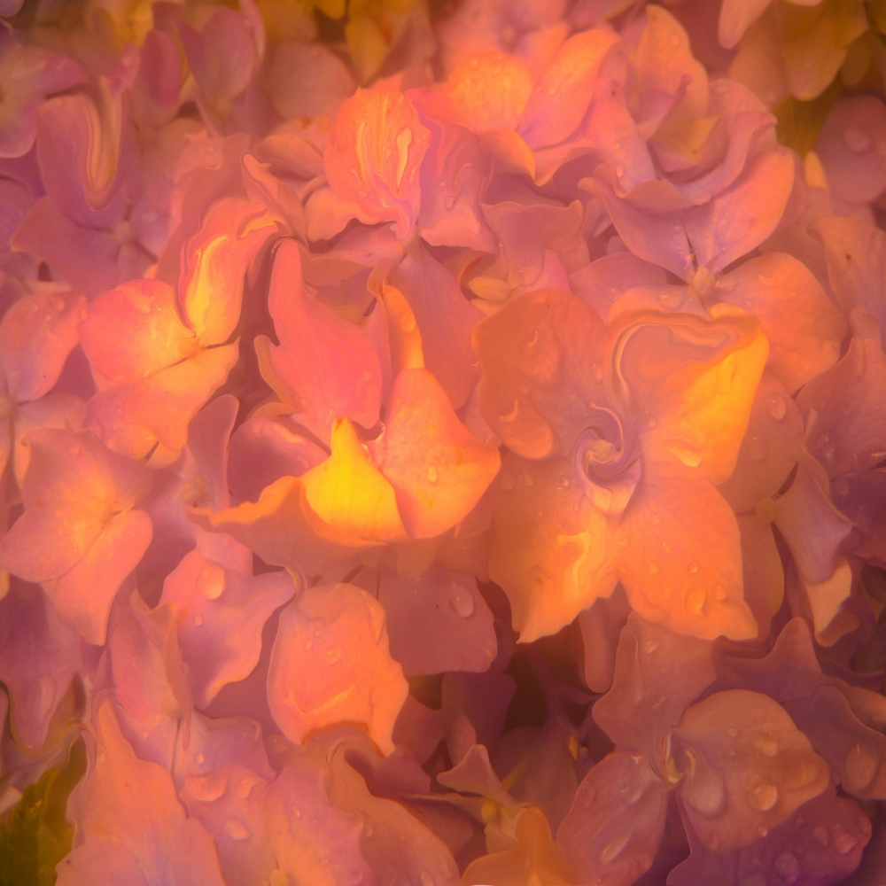 Аромат "Магнолия"